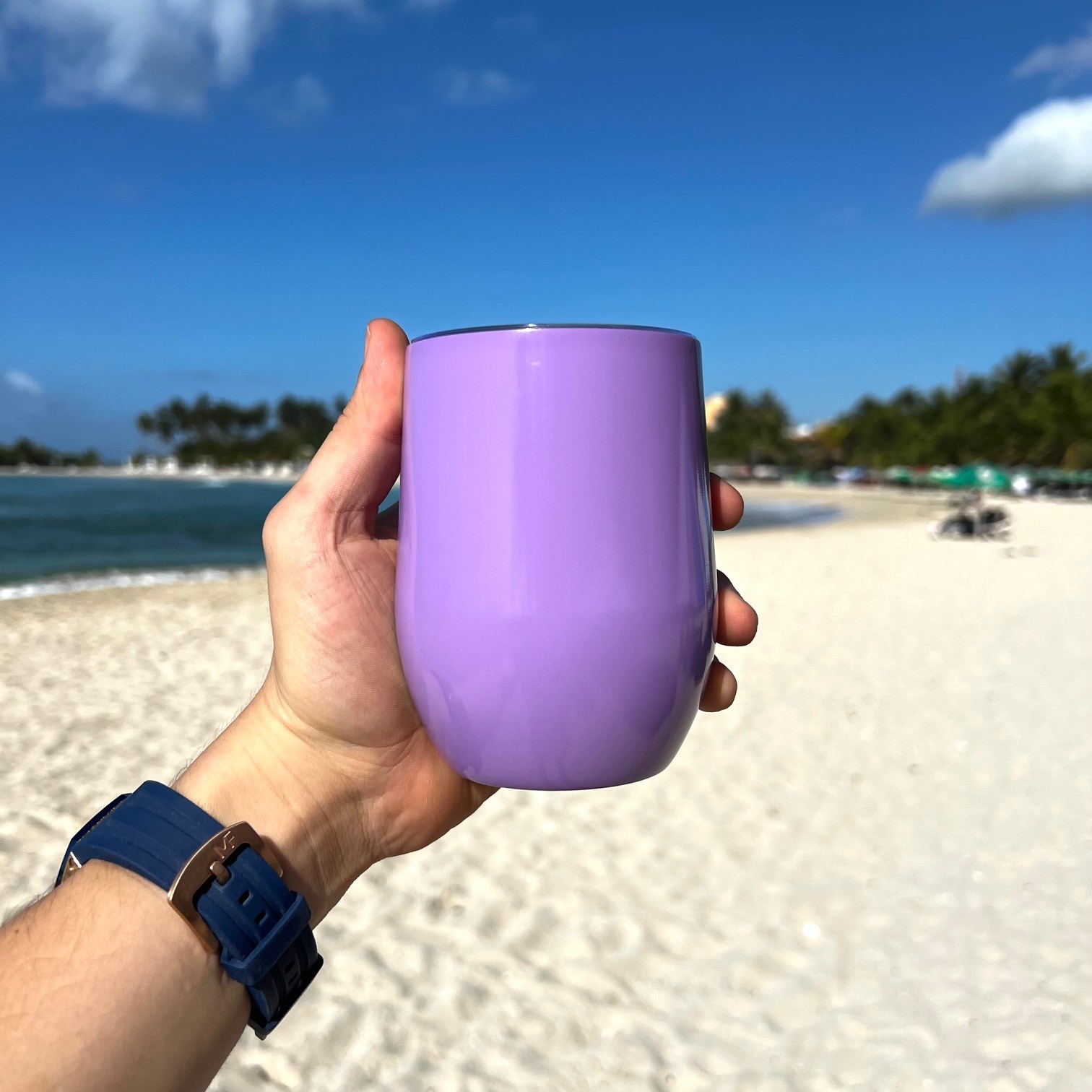 Wine Tumbler 12oz Sublimacion Wine Tumbler 12oz