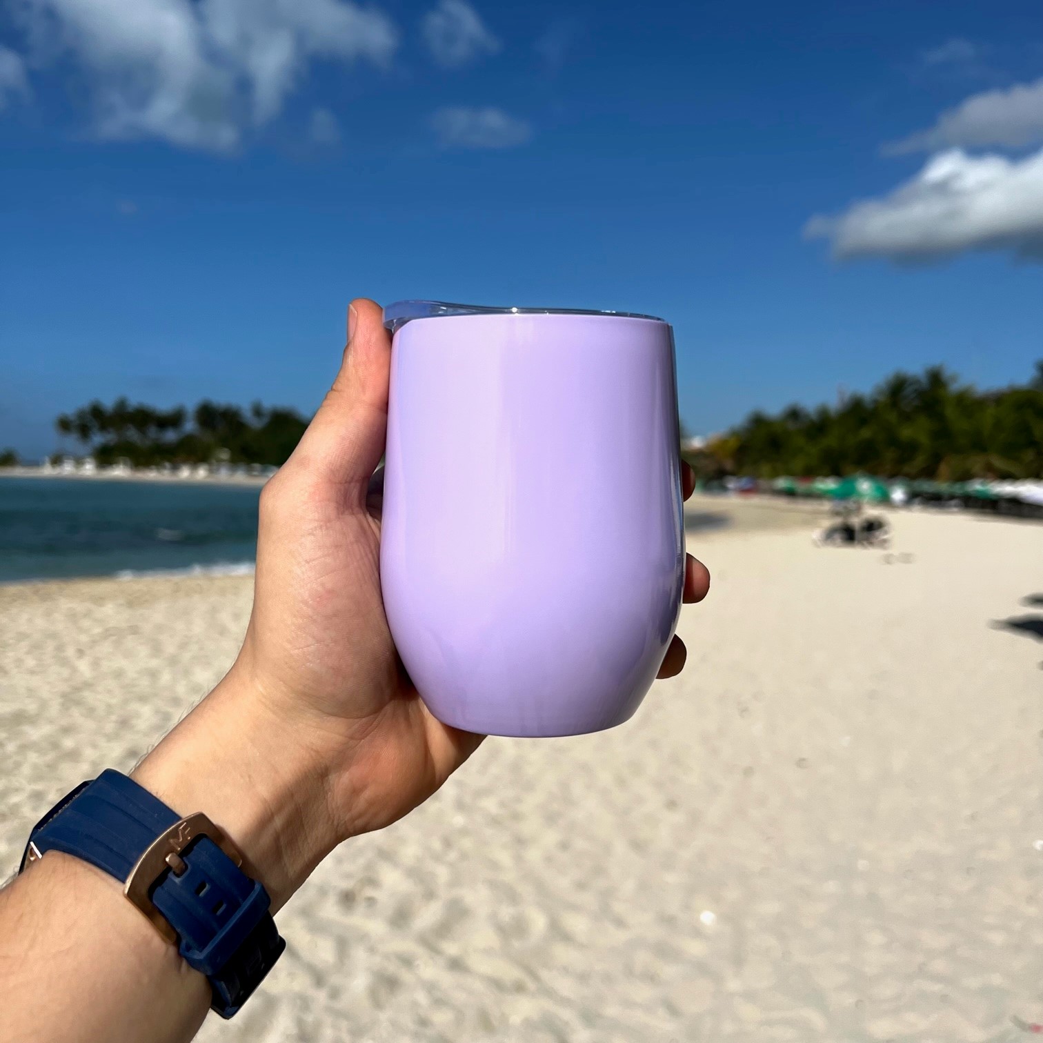 Wine Tumbler 12oz Sublimacion Wine Tumbler 12oz