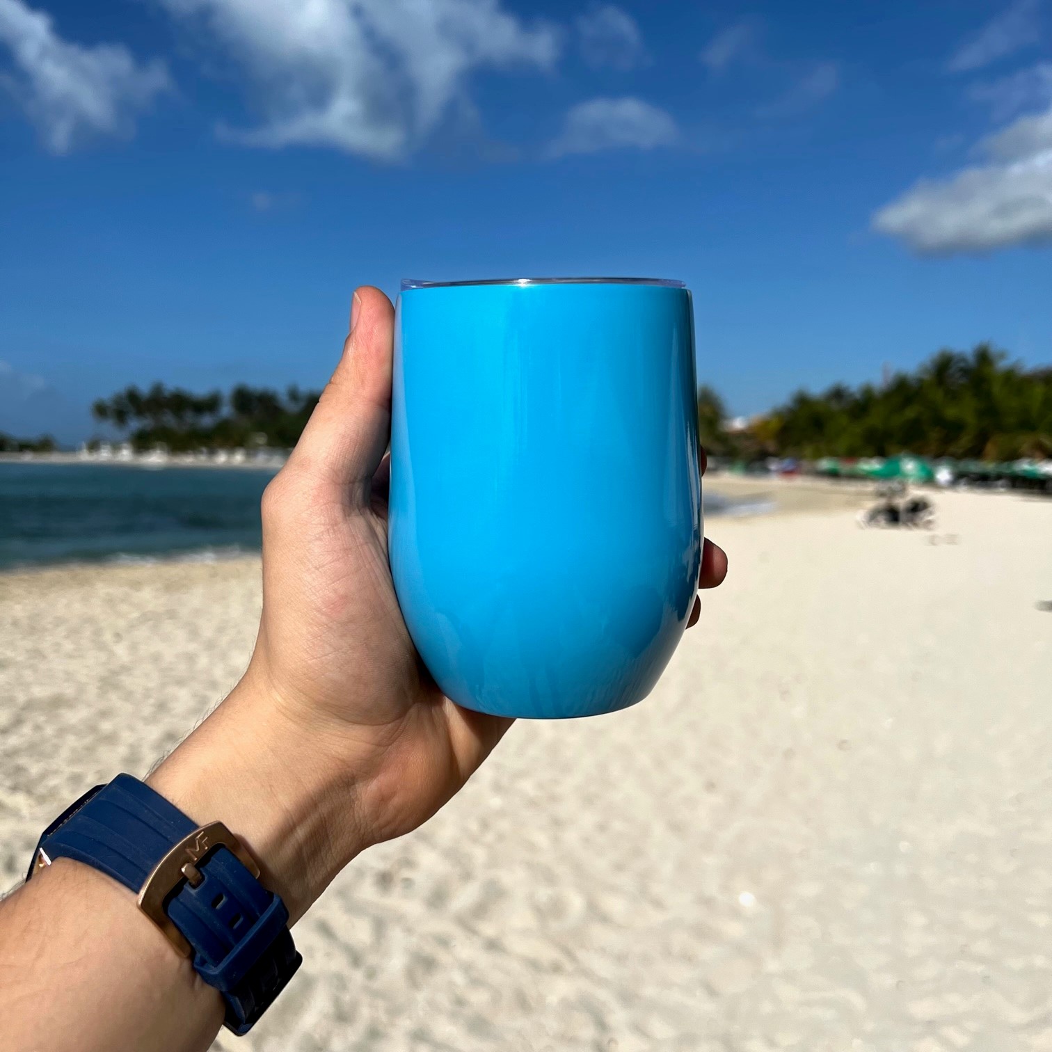 Wine Tumbler 12oz Sublimacion Wine Tumbler 12oz